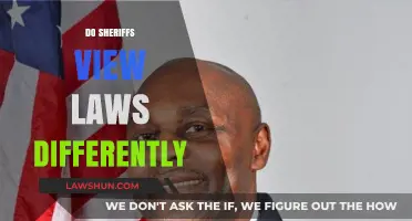 Sheriffs' Unique Perspective on Law and Order