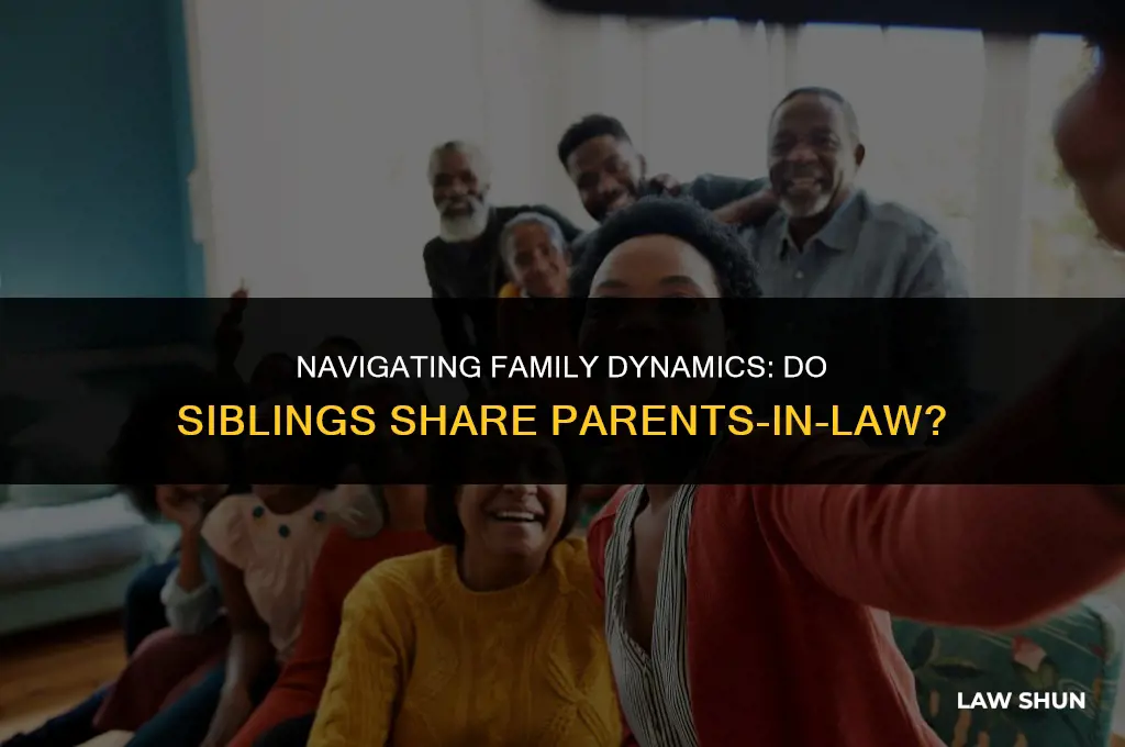do siblings share parents in law