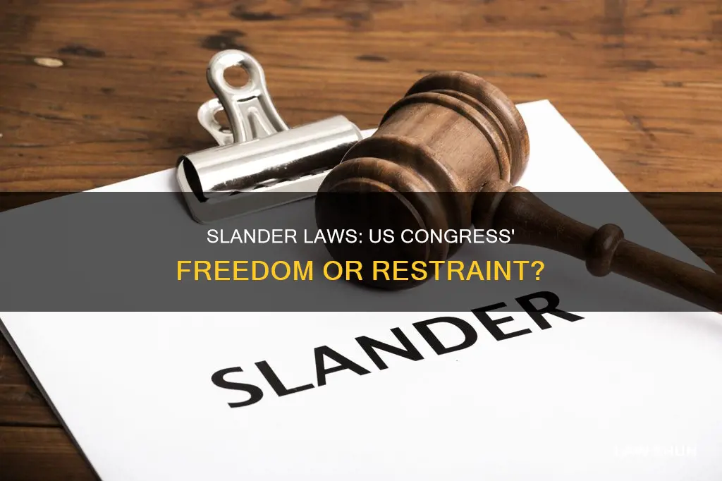 do slander laws apply to us congress