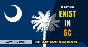 Understanding SLAPP Laws in South Carolina: A Comprehensive Guide