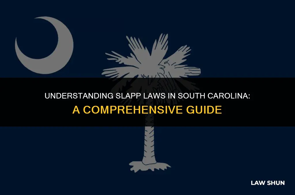 do slapp laws exist in sc