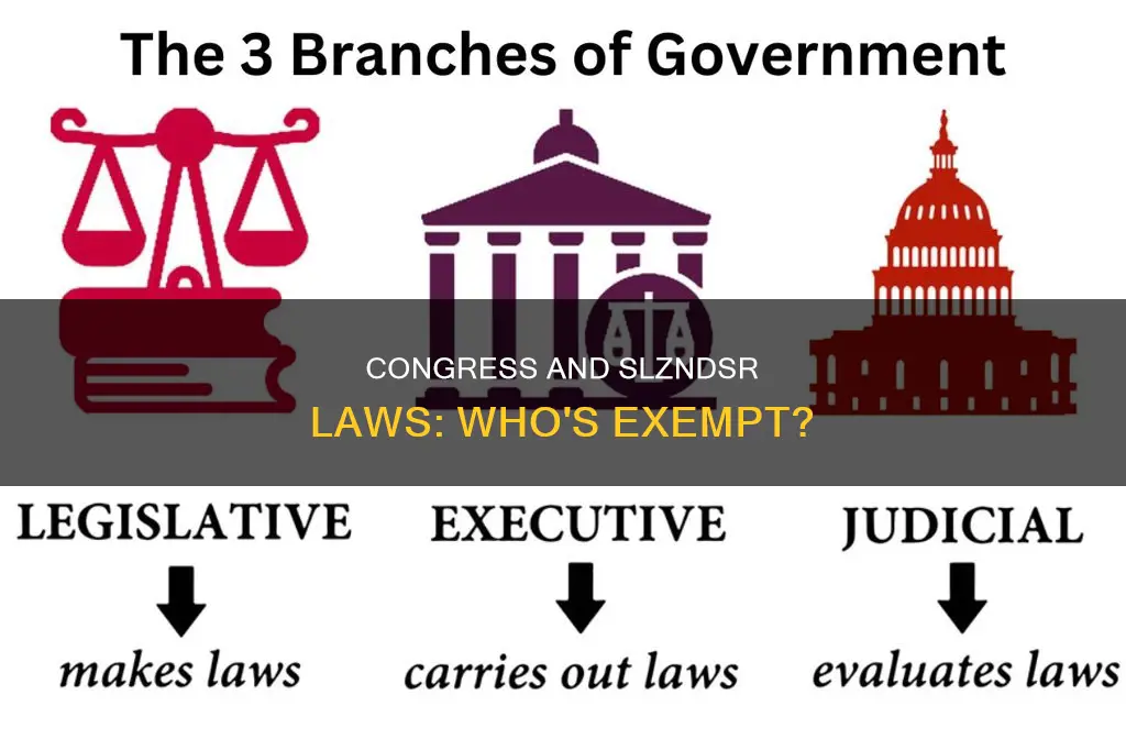 do slzndsr laws apply to us congress