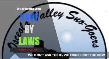 Exploring the Governance of Snowmobile Clubs: Do Bylaws Exist?