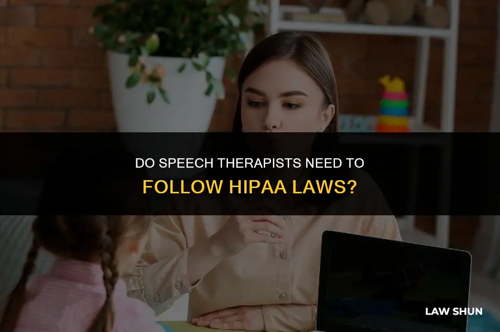 do speech therapists fellow hipaa laws