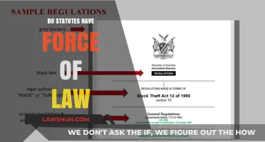 Do Statutes Have Force of Law? Understanding Legal Authority