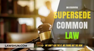 Statutes vs Common Law: Who Wins?