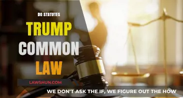 The Evolution of Law: Statutes vs Common Law