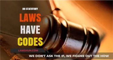 Understanding Statutory Laws: Do They Always Include Legal Codes?
