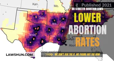 Abortion Laws: Stricter Regulations, Lower Abortion Rates?