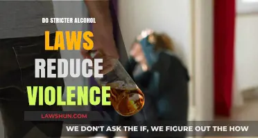 Exploring the Impact of Stricter Alcohol Laws on Violence Reduction