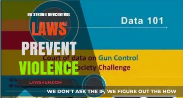 Debunking Myths: The Impact of Strong Gun Control Laws on Violence