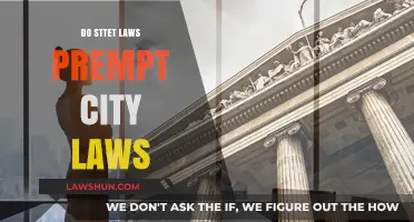 State vs. City Legislation: Understanding the Hierarchy of Laws