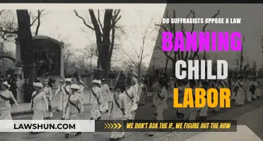 Suffragists' Stance: Did They Oppose Child Labor Bans?