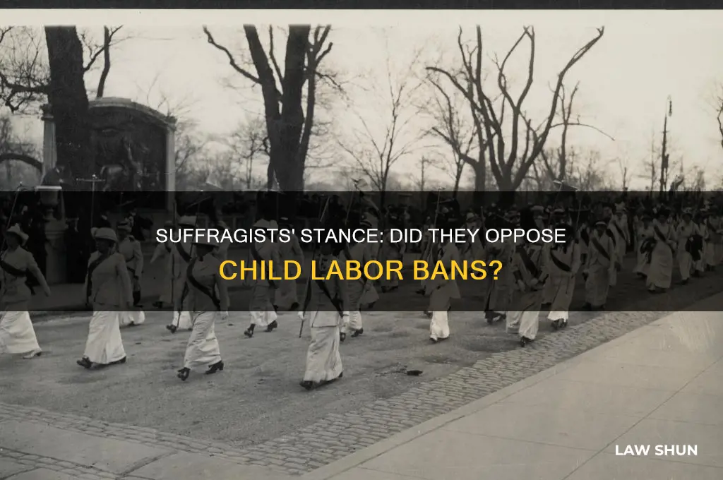 do suffragists oppose a law banning child labor