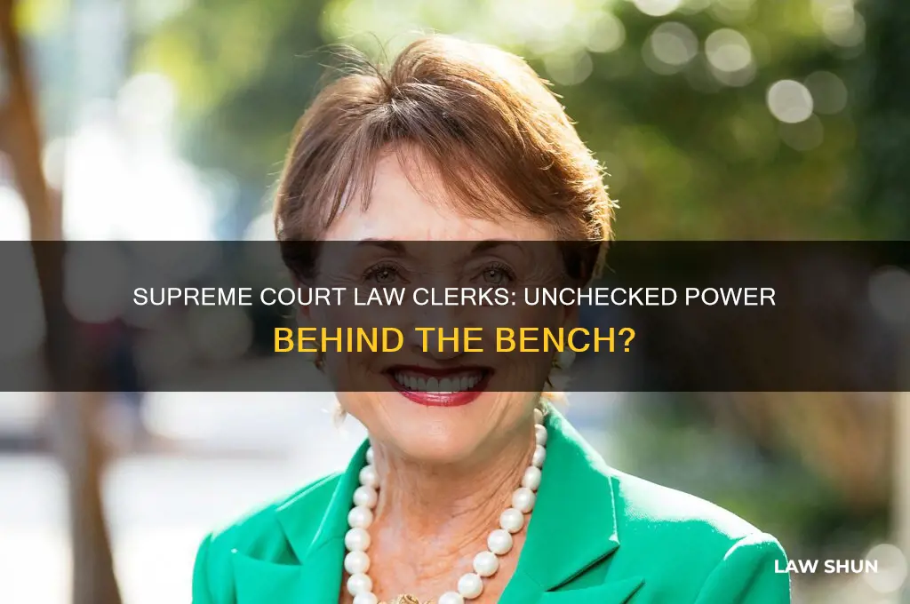 do supreme court law clerks have too much power