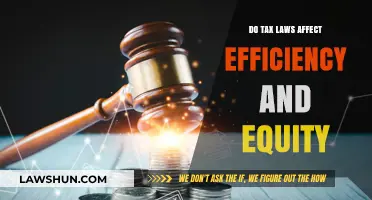Tax Laws: Efficiency and Equity Impact
