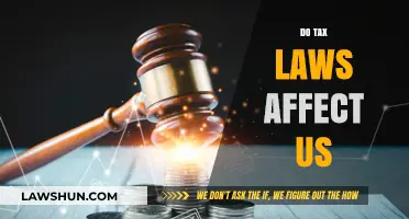 Tax Laws: How They Affect Us