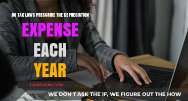 Tax Laws: Depreciation Expense Prescription