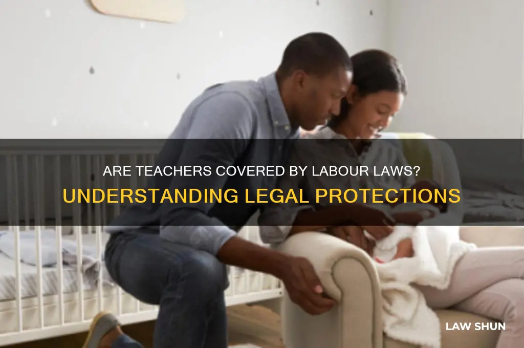 do teachers come under labour law