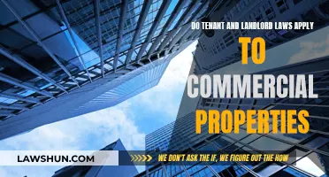 Understanding Commercial Property Rights: Tenant and Landlord Laws