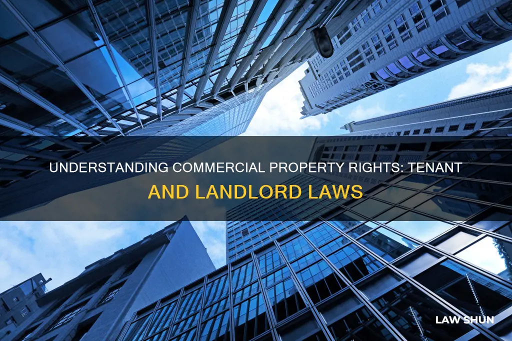 do tenant and landlord laws apply to commercial properties