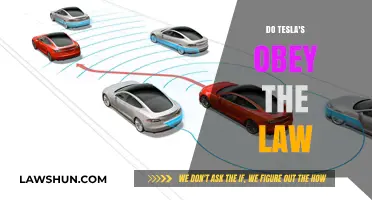 Do Teslas Obey the Law: A Deep Dive into Autonomous Driving Regulations