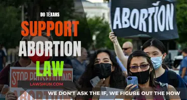 Texans' Abortion Law Stance: Support or Opposition?