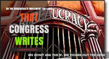 Do Bureaucrats Effectively Implement Congressionally Written Laws?