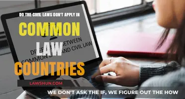 Civil Laws: Irrelevant in Common Law Countries?