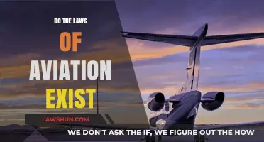 Exploring the Legal Framework Governing the Skies: Do Aviation Laws Exist?