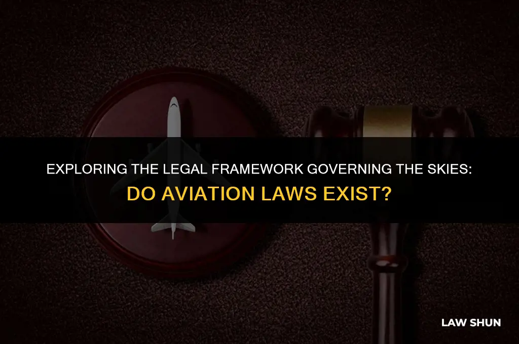 do the laws of aviation exist