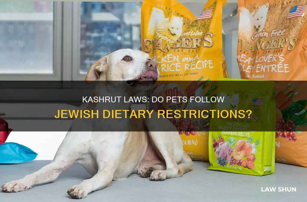 do the laws of kashrut apply to pets