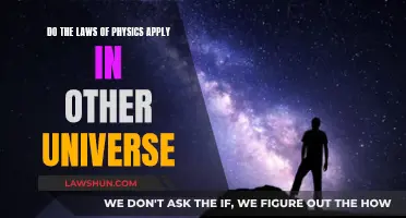 Other Universes: Do Our Laws of Physics Apply?