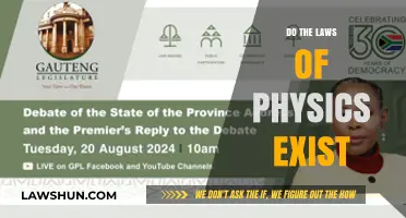 Exploring the Eternal Debate: Do the Laws of Physics Exist?