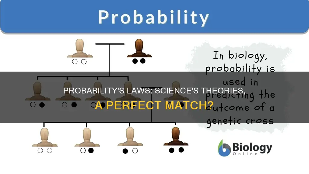 do the laws of probability apply to scientific theory