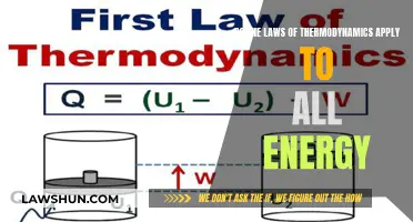 Thermodynamics Laws: Universal Energy Rules?