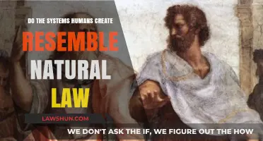 Human Systems: Natural Laws or Not?