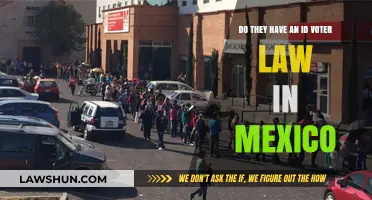 Does Mexico Require Voter ID? Understanding Election Laws and Identification