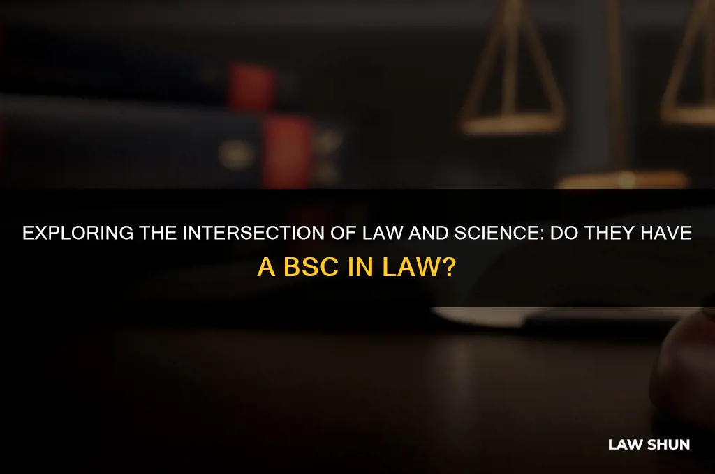 do they have bsc in law