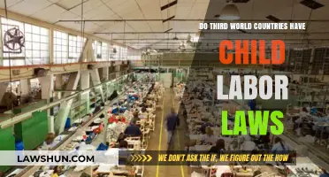 Child Labor Laws in Third World Countries: Reality or Myth?