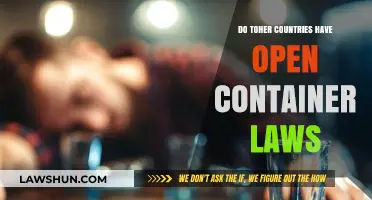 Open Container Laws Abroad: How Other Countries Regulate Public Drinking