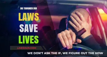 Do Tougher DUI Laws Save Lives?