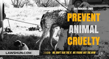 Strengthening Animal Welfare: The Impact of Tougher Legislation on Cruelty Prevention