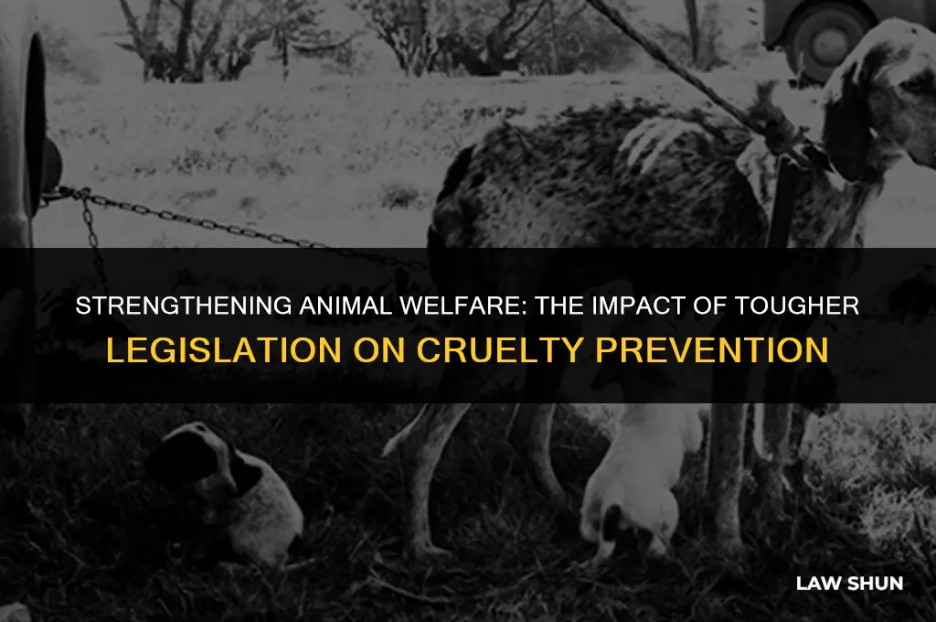 do tougher laws prevent animal cruelty