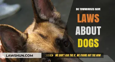 Paws and Policies: Understanding Dog Laws in Townhouses