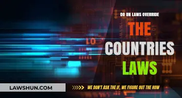 UN Laws vs. National Laws: Which Holds Supreme Authority?