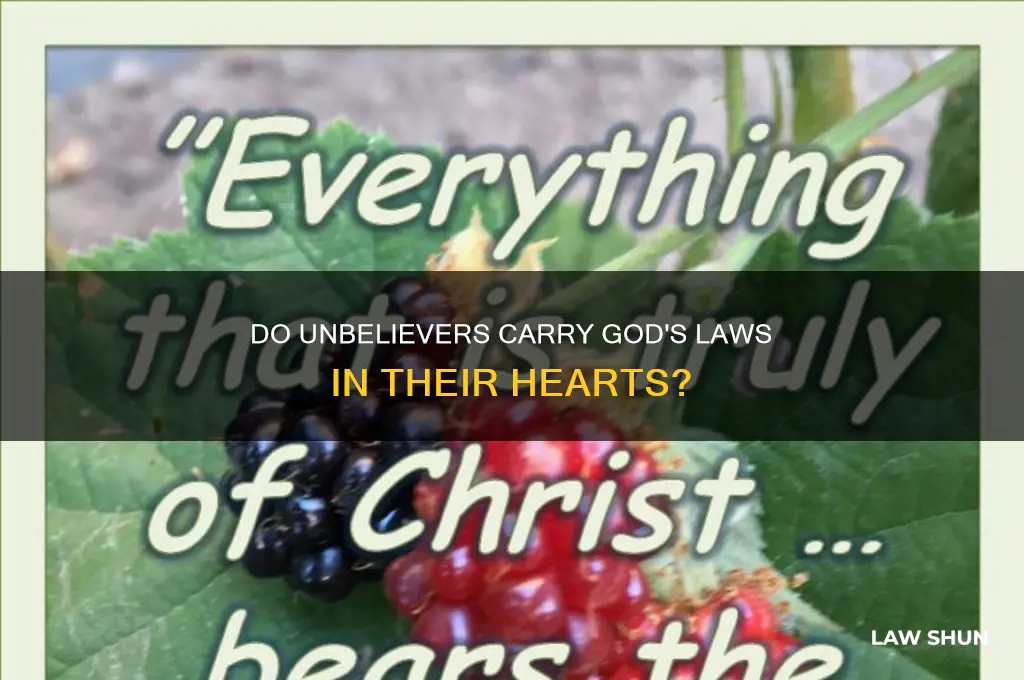 do unbelievers have the laws of god in their hearts