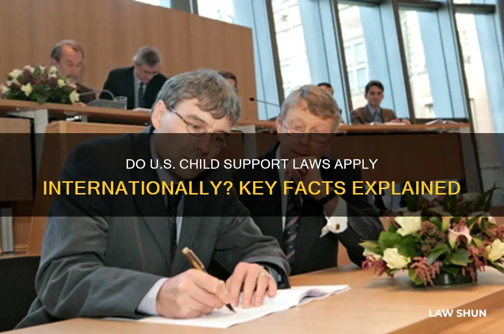do us child support laws transfer to other countries