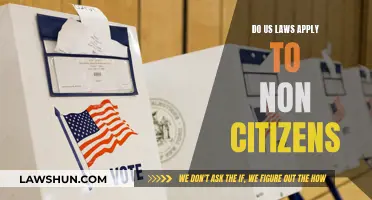 US Laws and Non-Citizens: Who's Affected and How?