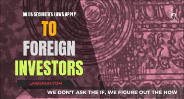 Foreign Investors: Navigating US Securities Laws